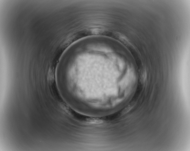 X0000085800471200704091452