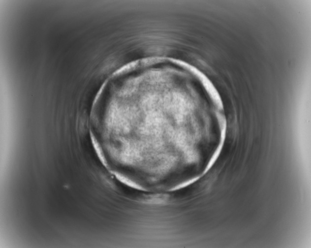 X0000085800474200704091452