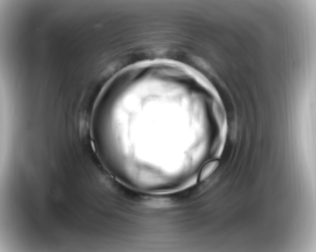 X0000085800476200704091452