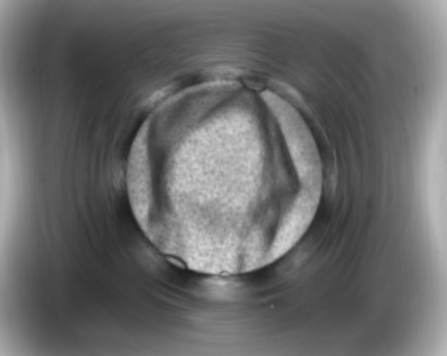 X0000085800477200704091452