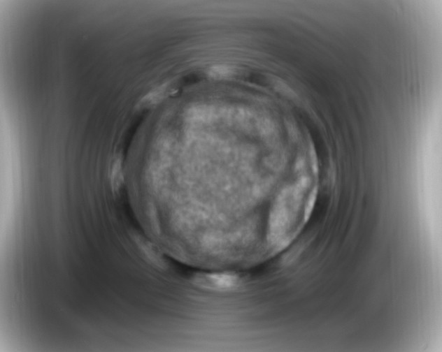 X0000085800478200704091452