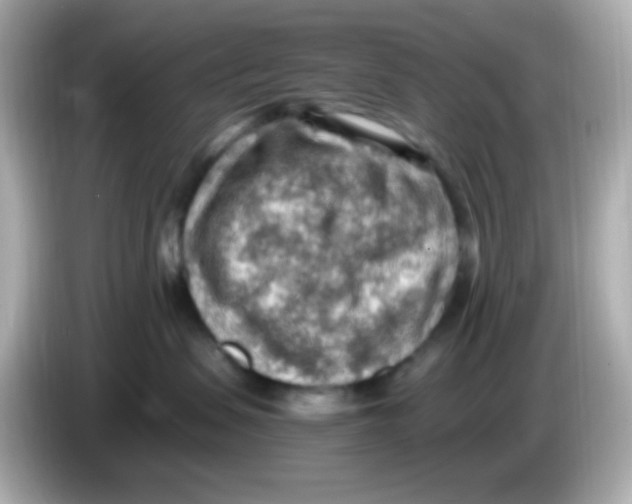 X0000085800479200704091452