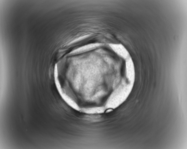 X0000085800480200704091452