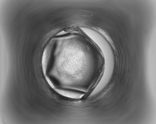 X0000085800481200704091451