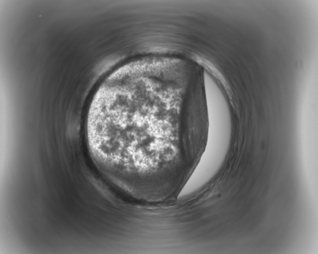 X0000085800483200704091451