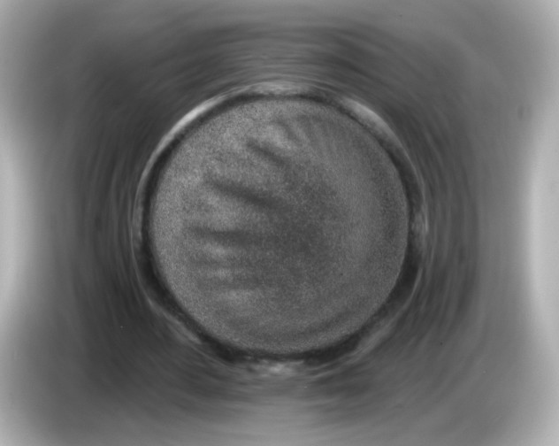 X0000085800484200704091451