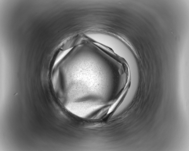 X0000085800485200704091451