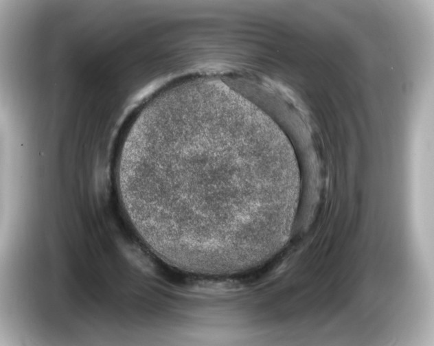 X0000085800488200704091451