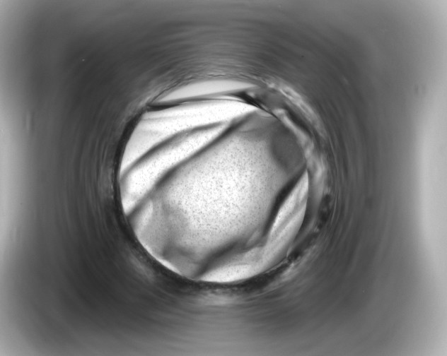 X0000085800489200704091451