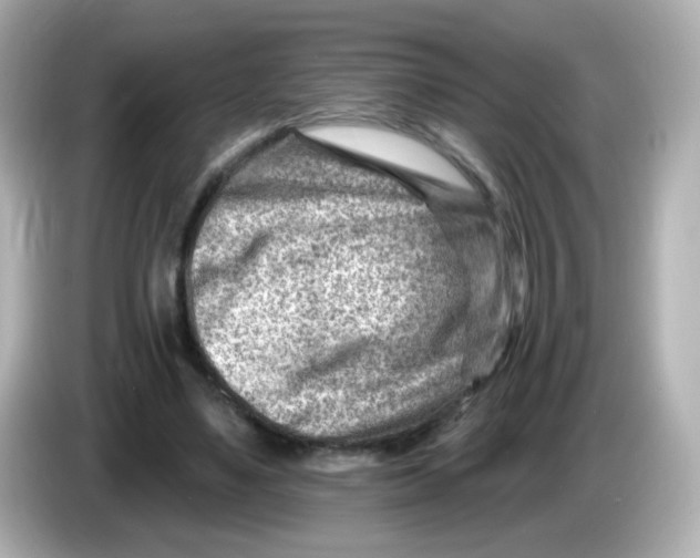 X0000085800491200704091451