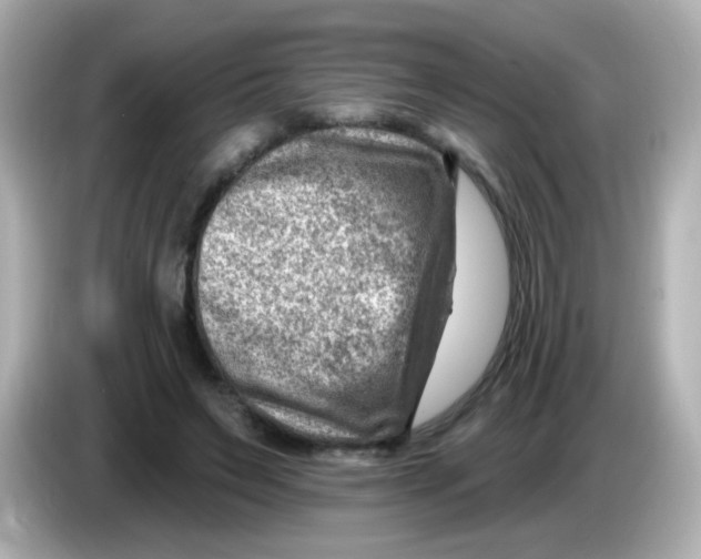 X0000085800495200704091451