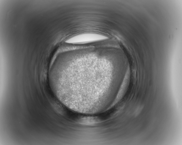 X0000085800499200704091451