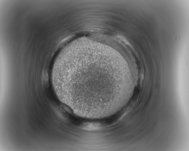 X0000085800500200704091451