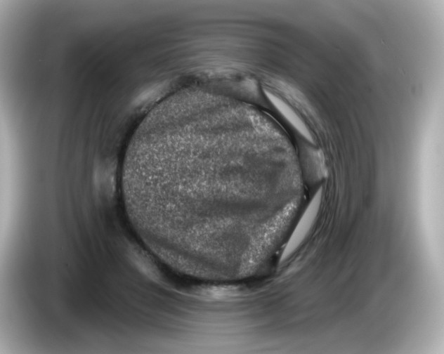 X0000085800501200704091451