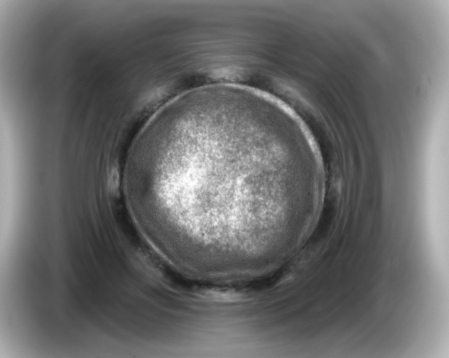 X0000085800502200704091451