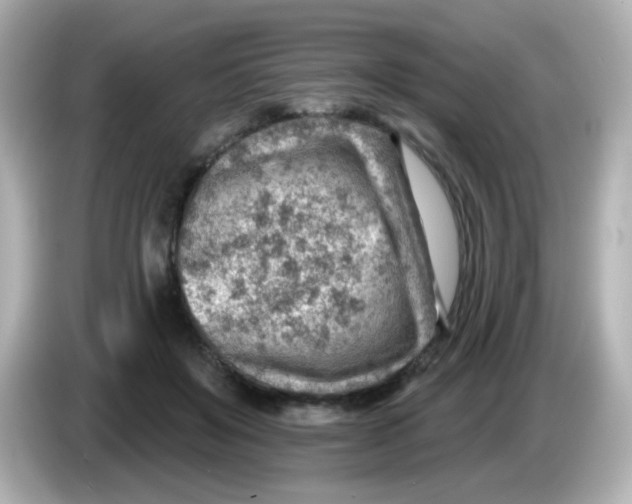 X0000085800503200704091451