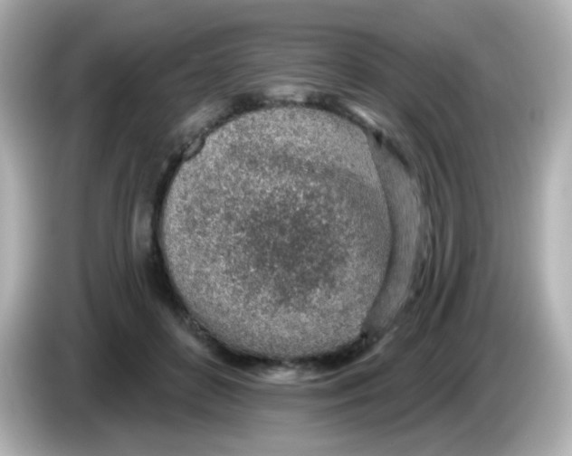 X0000085800504200704091451