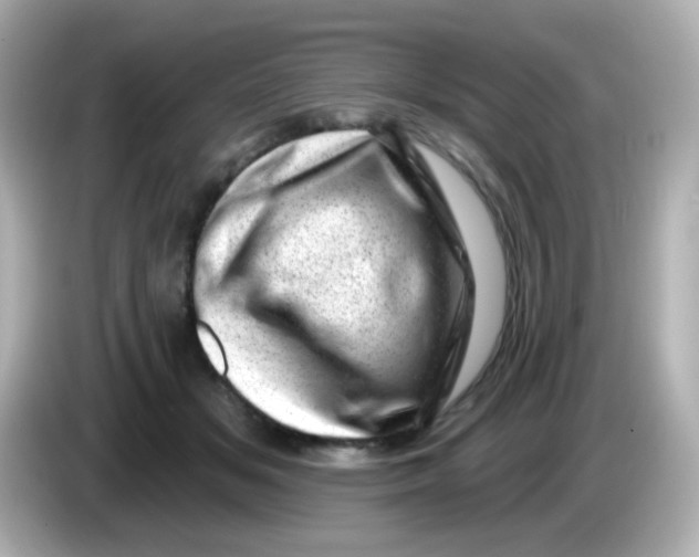 X0000085800509200704091451