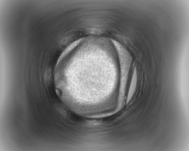 X0000085800511200704091451