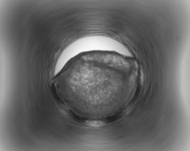 X0000085800512200704091451