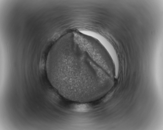 X0000085800513200704091451