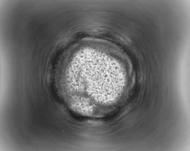 X0000085800515200704091451