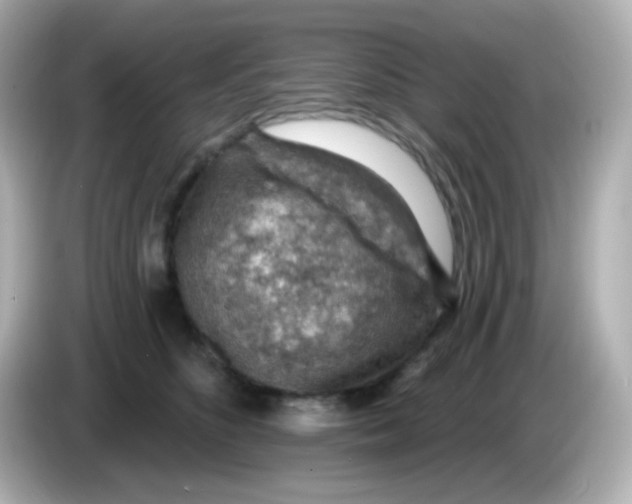 X0000085800516200704091451