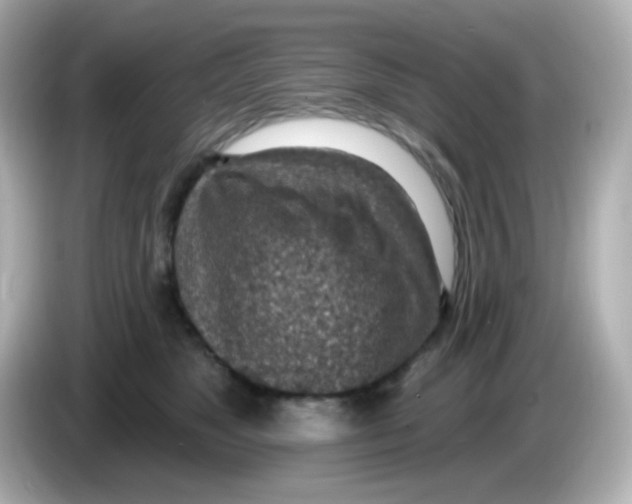 X0000085800517200704091451