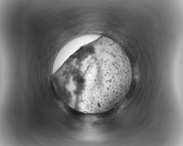 X0000085800519200704091451