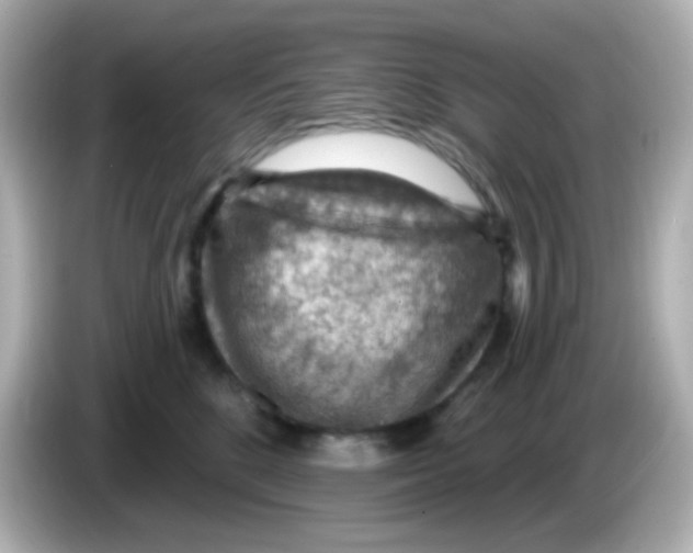 X0000085800520200704091451