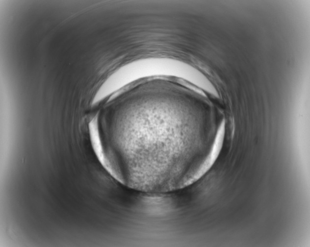 X0000085800521200704091451