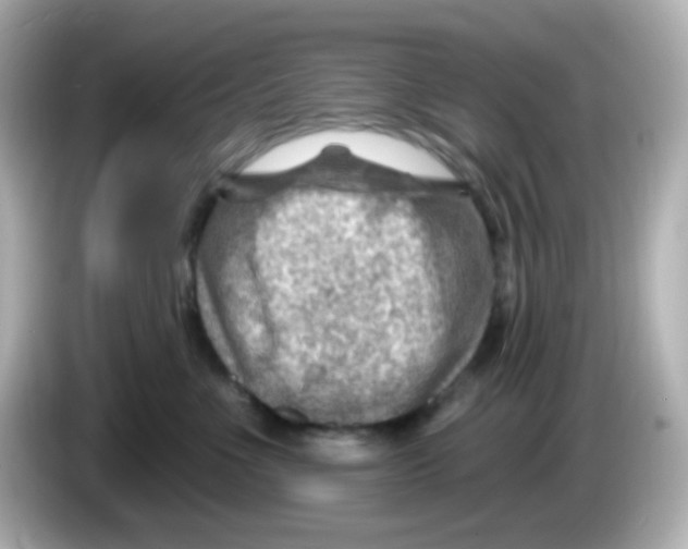 X0000085800523200704091451