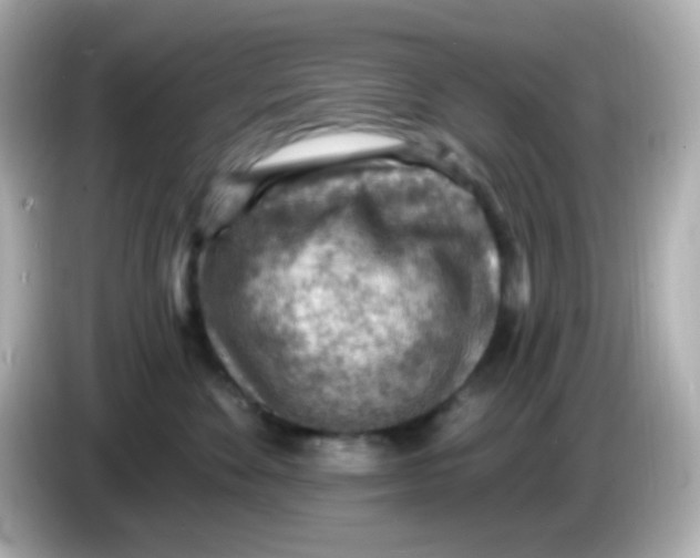 X0000085800524200704091451