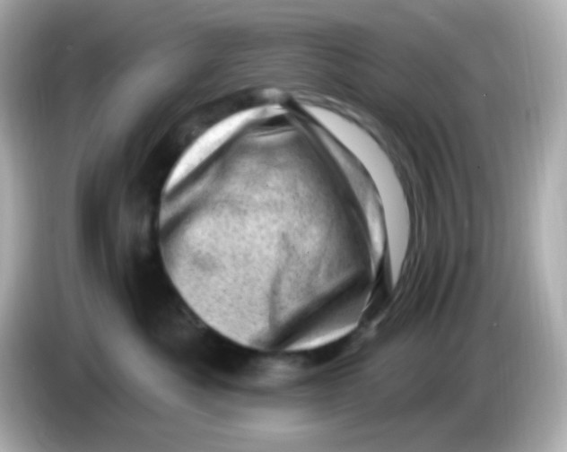 X0000085800525200704091451