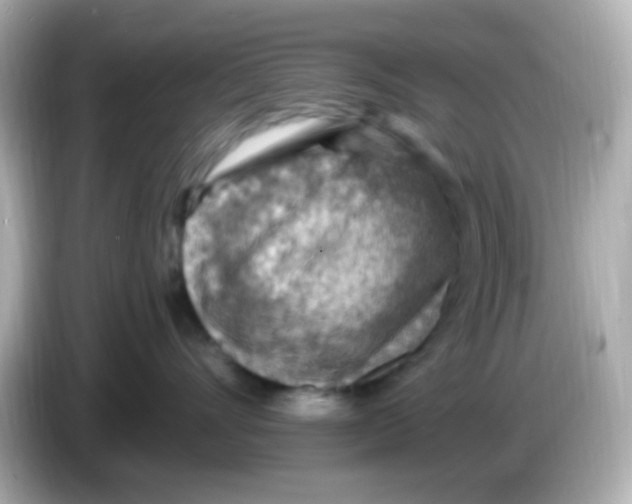 X0000085800528200704091451