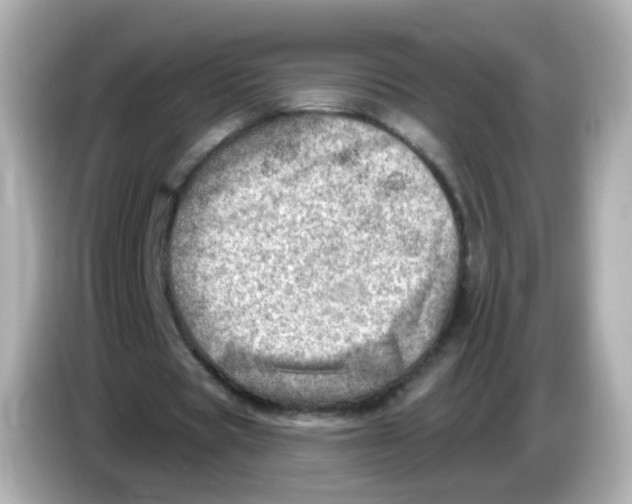 X0000085800529200704091450