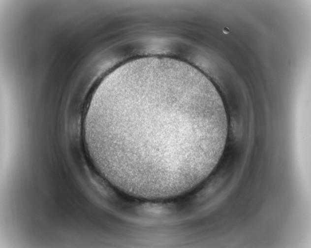 X0000085800534200704091450