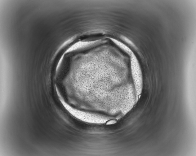 X0000085800535200704091450