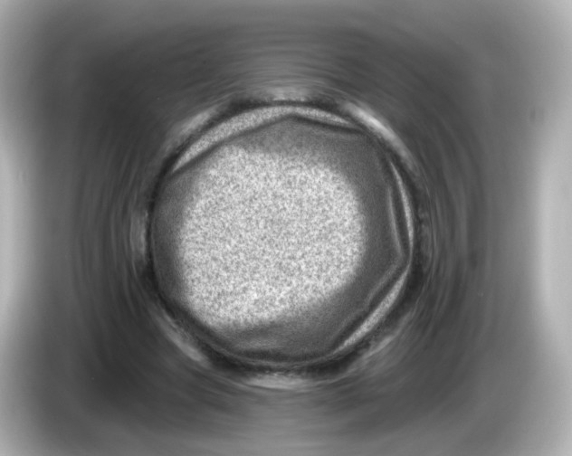 X0000085800537200704091450