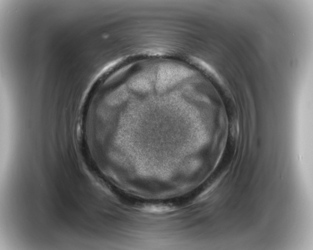 X0000085800540200704091450