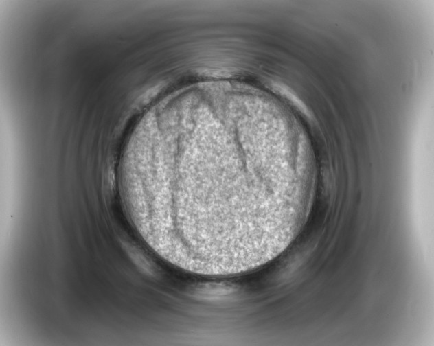 X0000085800541200704091450