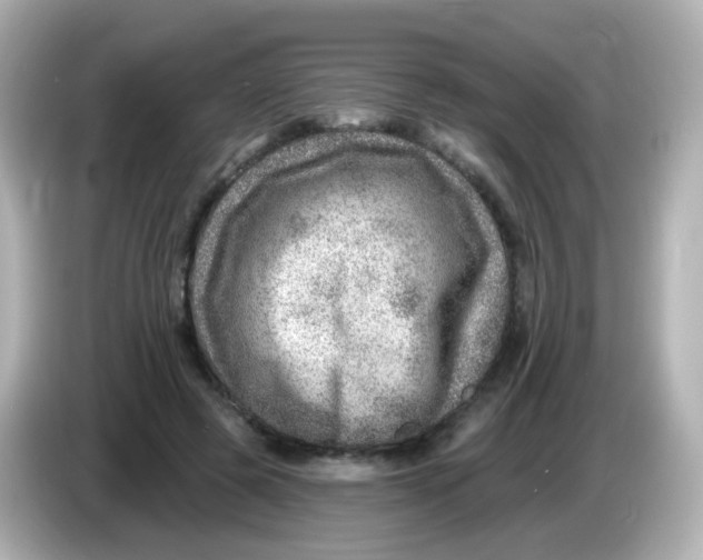 X0000085800545200704091450