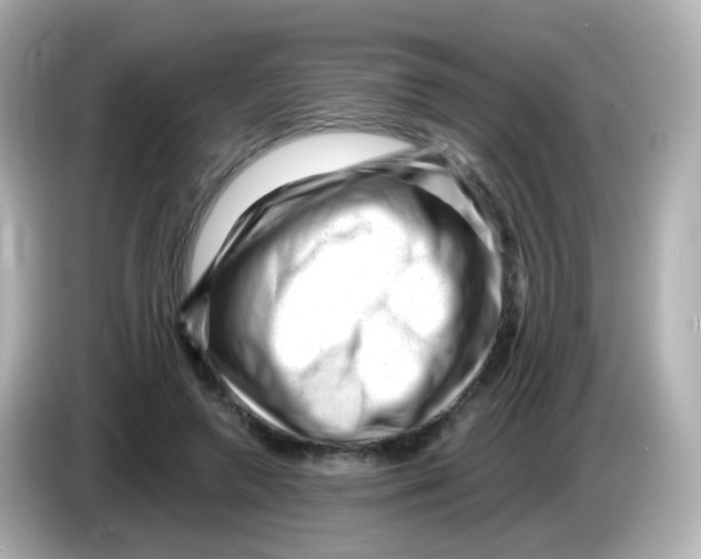 X0000085800546200704091450