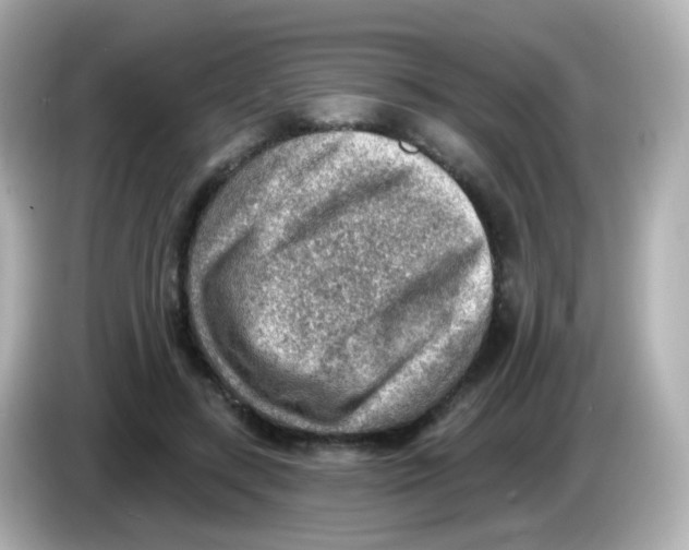 X0000085800547200704091450