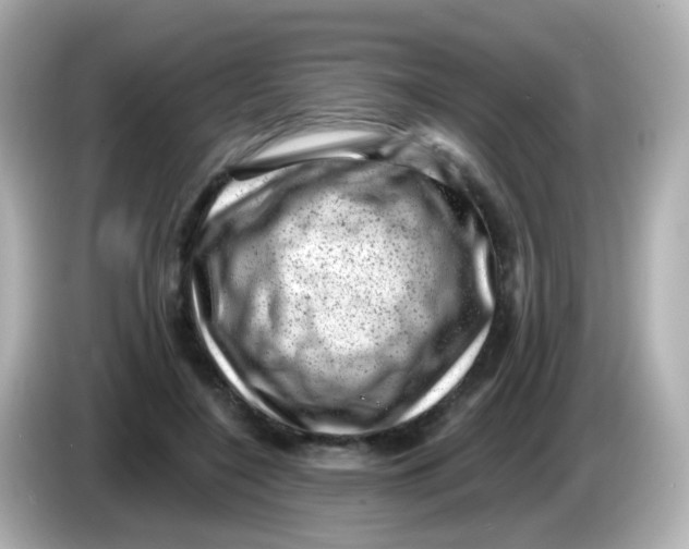 X0000085800548200704091450