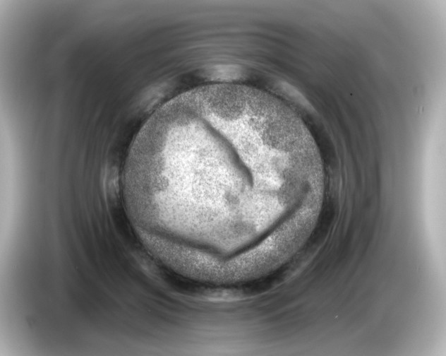 X0000085800549200704091450