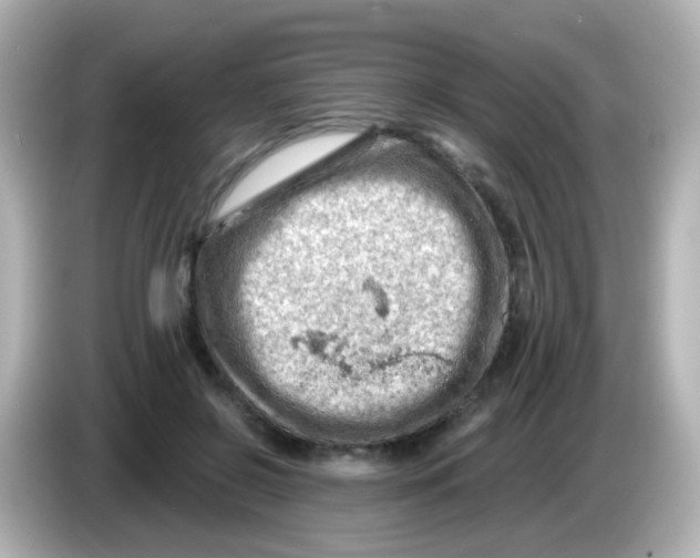 X0000085800550200704091450