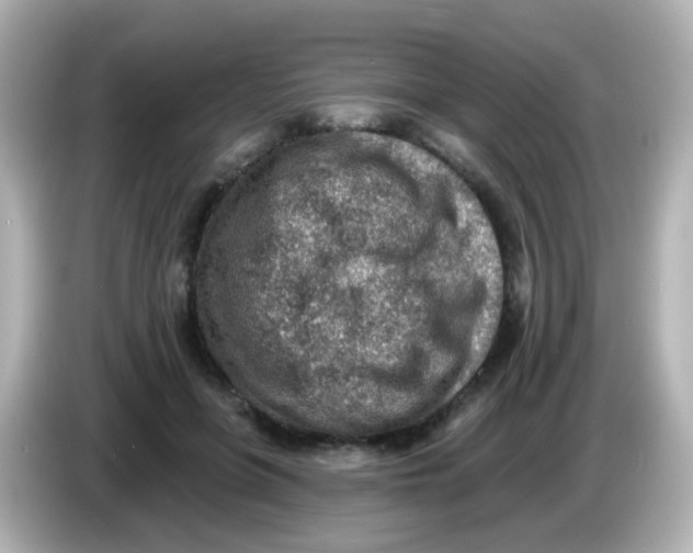 X0000085800551200704091450