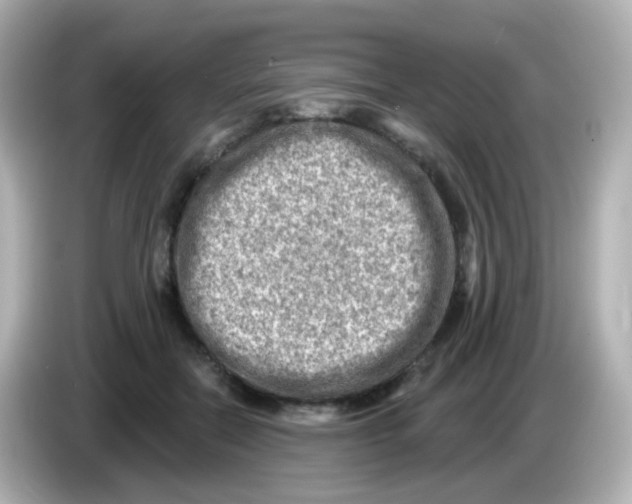 X0000085800554200704091450