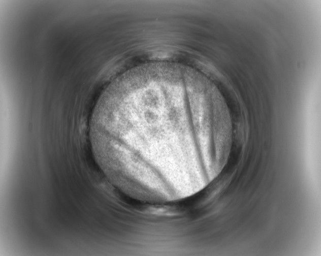 X0000085800557200704091451